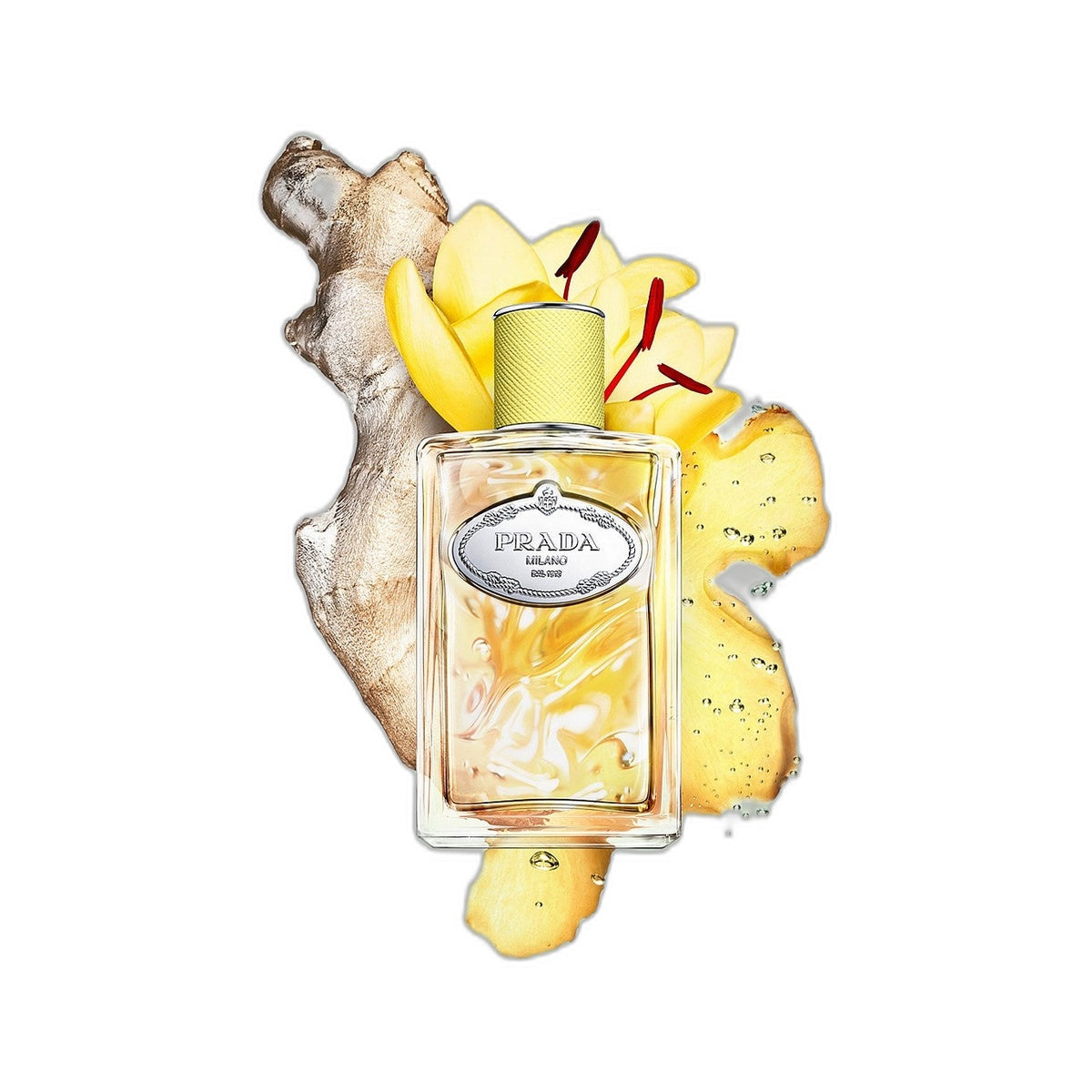 PRADA INFUSION DE GINGEMBRE EDP 100ML