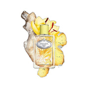PRADA INFUSION DE GINGEMBRE EDP 100ML